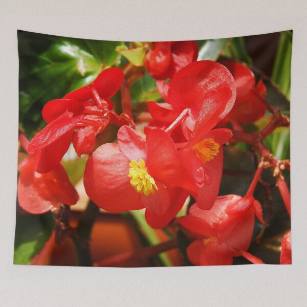 Item preview, Red Begonia designed and sold by gistinker.