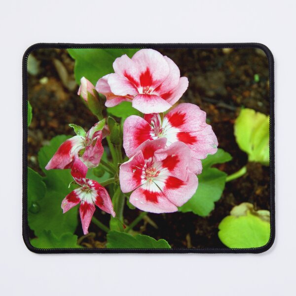 Item preview, Vertical Geranium designed and sold by gistinker.