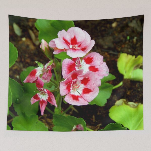 Item preview, Vertical Geranium designed and sold by gistinker.