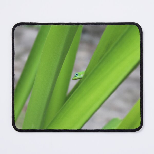 Item preview, Green Anole Gecko In Leaves designed and sold by NatSullivanArt.