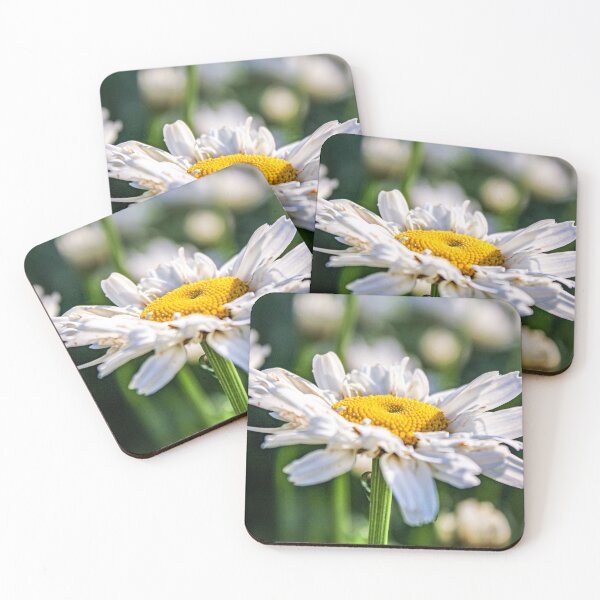 Item preview, Common Daisy In The Summer designed and sold by NatSullivanArt.