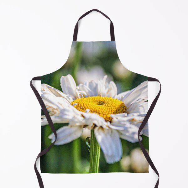 Item preview, Common Daisy In The Summer designed and sold by NatSullivanArt.