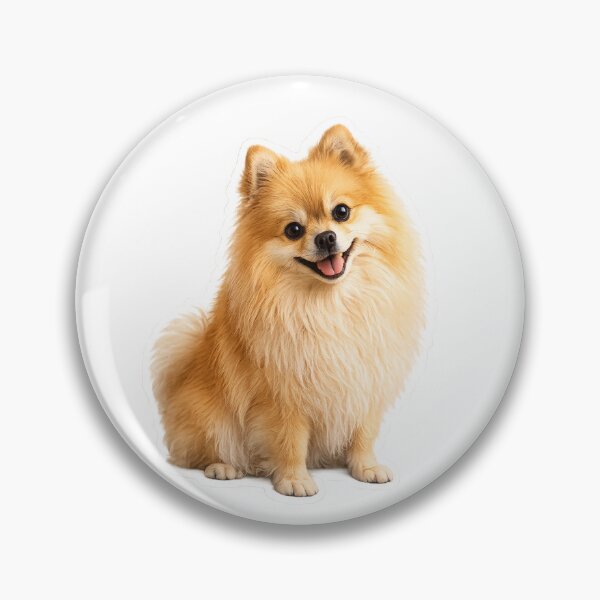Item preview, Pomeranian dog designed and sold by BackgroundND.