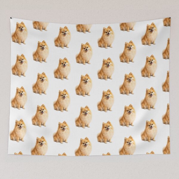 Item preview, Pomeranian dog designed and sold by BackgroundND.