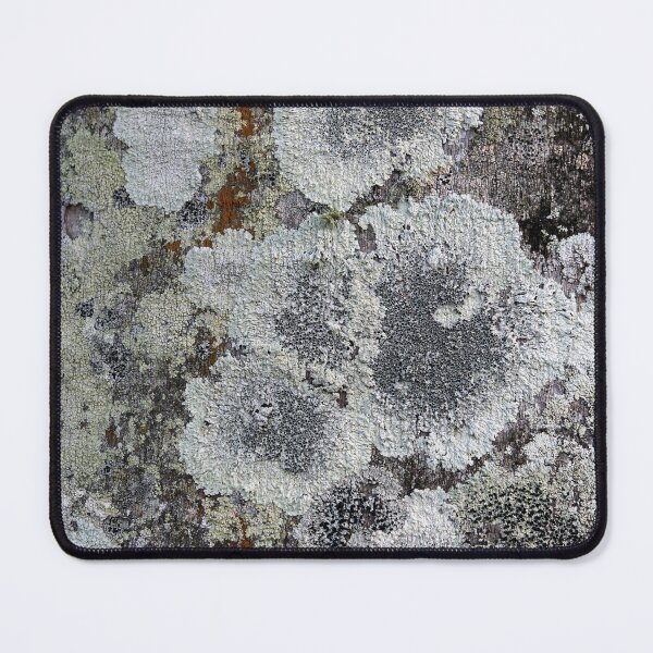 Item preview, Grey Lichen Texture on Tree Bark designed and sold by 27Tammy27.