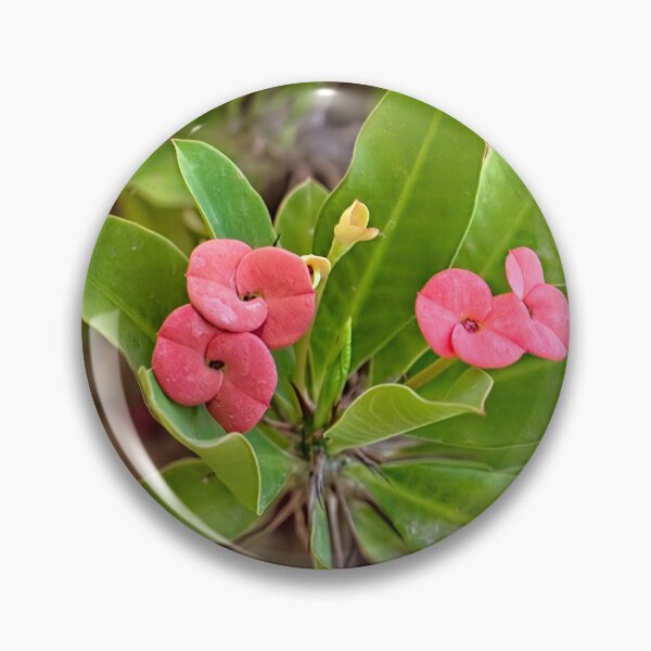 Item preview, Crown of Thorns designed and sold by Victor Kilman.