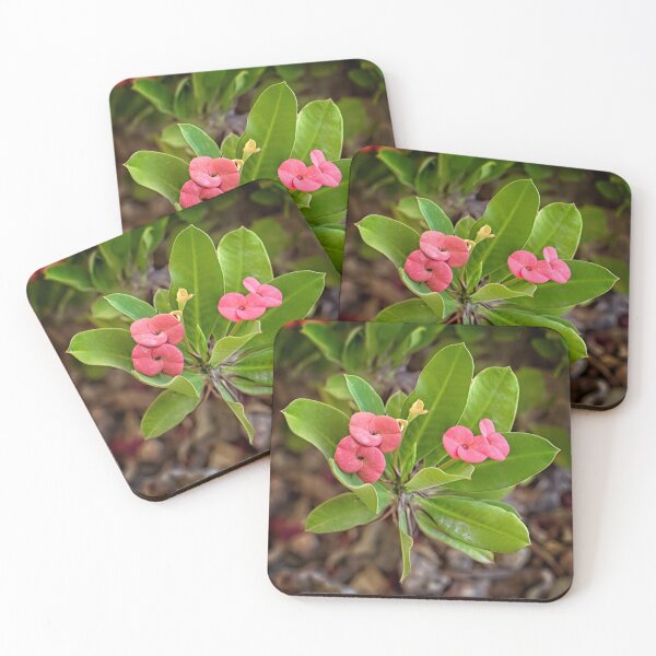 Item preview, Crown of Thorns designed and sold by Victor Kilman.