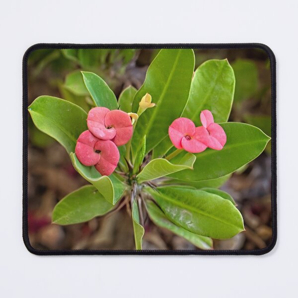 Item preview, Crown of Thorns designed and sold by Victor Kilman.