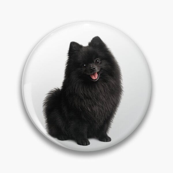 Item preview, Black Pomeranian dog designed and sold by BackgroundND.