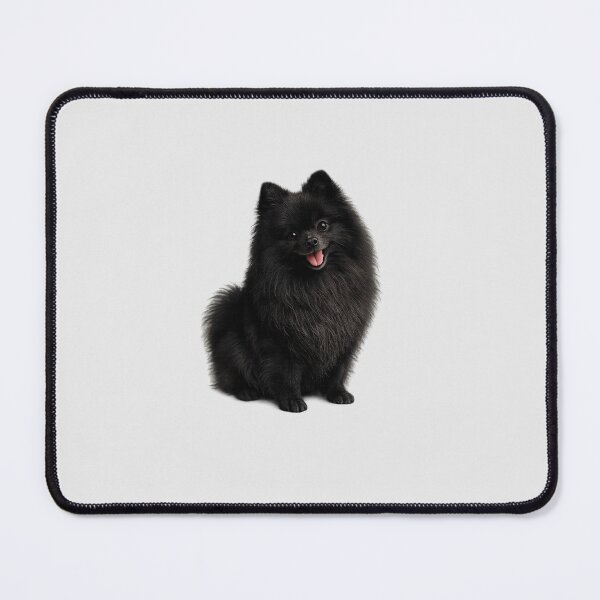 Item preview, Black Pomeranian dog designed and sold by BackgroundND.