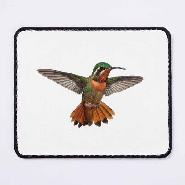 Item preview, Xantus's hummingbird flight designed and sold by ArunDandiboina.