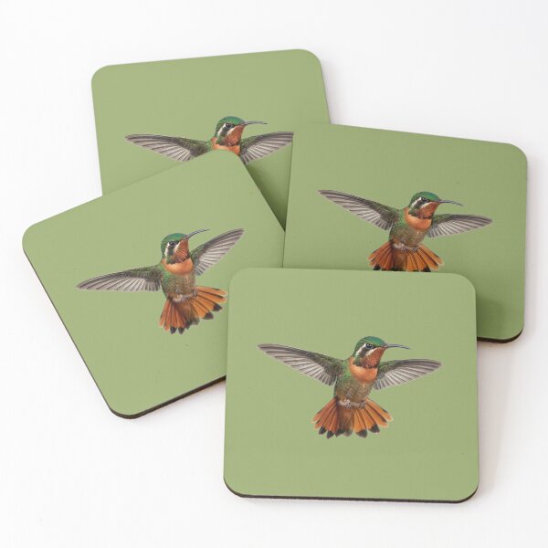 Item preview, Xantus's hummingbird flight designed and sold by ArunDandiboina.