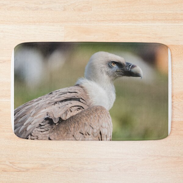 Item preview, Griffon vulture designed and sold by XaviFotografia.