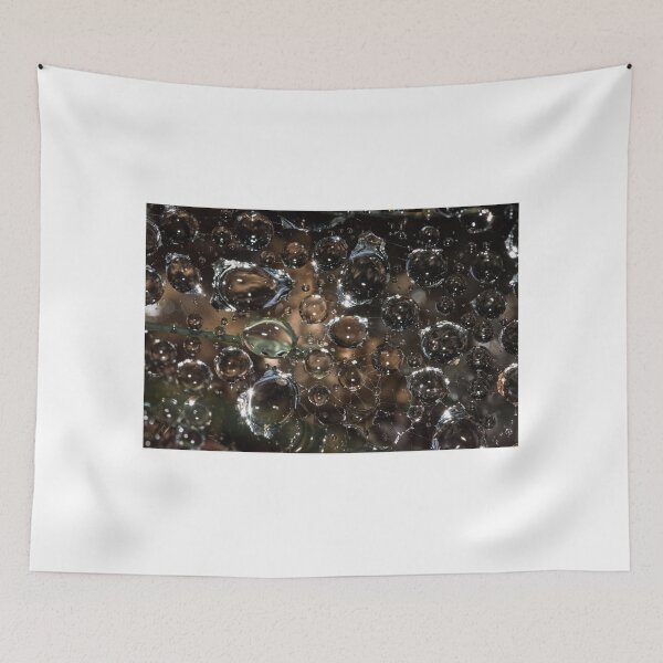 Item preview, Water droplets on a spider web designed and sold by XaviFotografia.