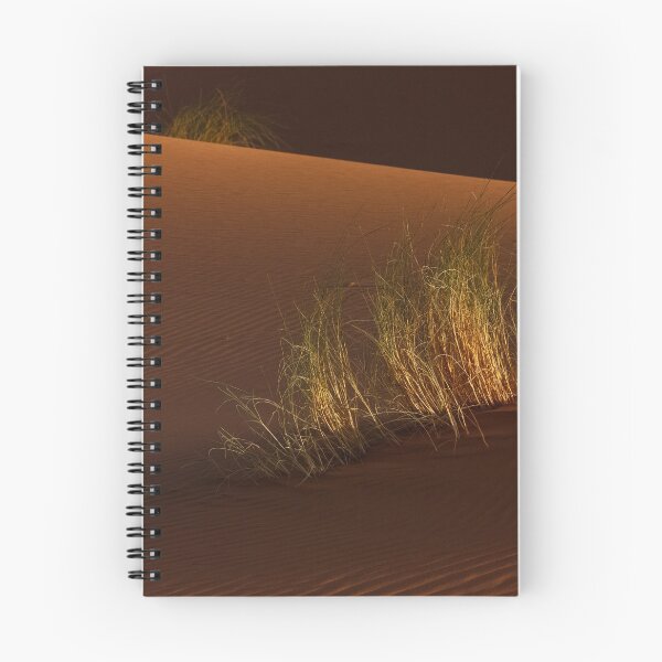 Artikelvorschau, Sahara - Erg Chebbi - Wuestengras entworfen und verkauft von Peter Engelke.