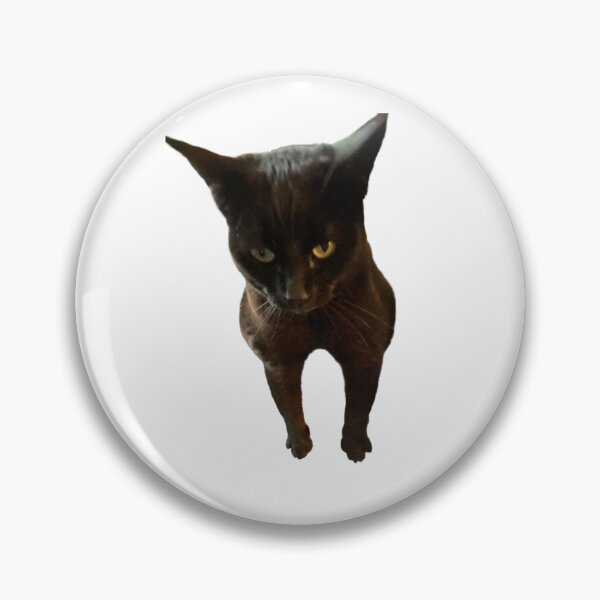 Item preview, Grumpy Black Cat — Angry Judgmental Kitty Funny Meme Stare designed and sold by smogmilk.