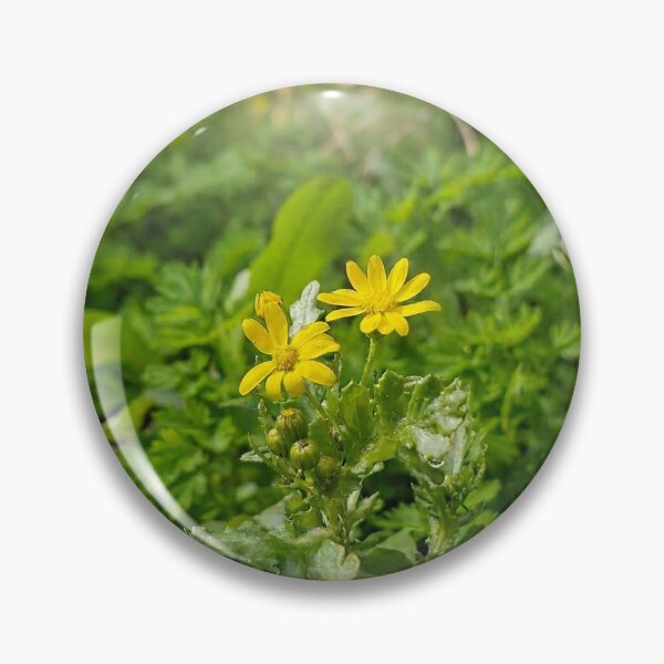 Item preview, spring bloom, eastern groundsel designed and sold by Lunar-Dragon.