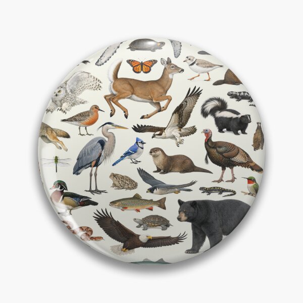 Item preview, Animals of New Jersey Retro Style Identification Chart designed and sold by kakarikihill.