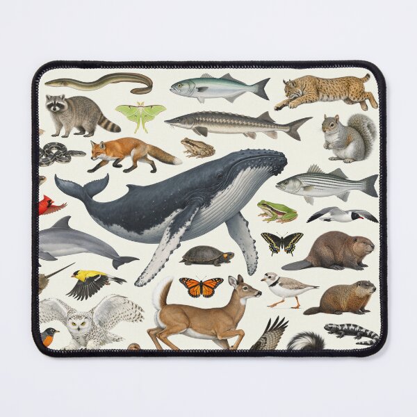 Item preview, Animals of New Jersey Retro Style Identification Chart designed and sold by kakarikihill.