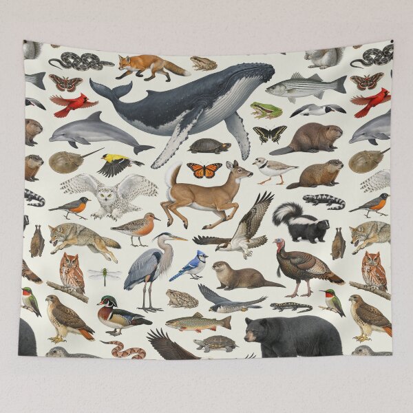 Item preview, Animals of New Jersey Retro Style Identification Chart designed and sold by kakarikihill.