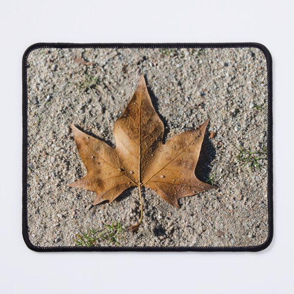 Item preview, dry leaf designed and sold by XaviFotografia.