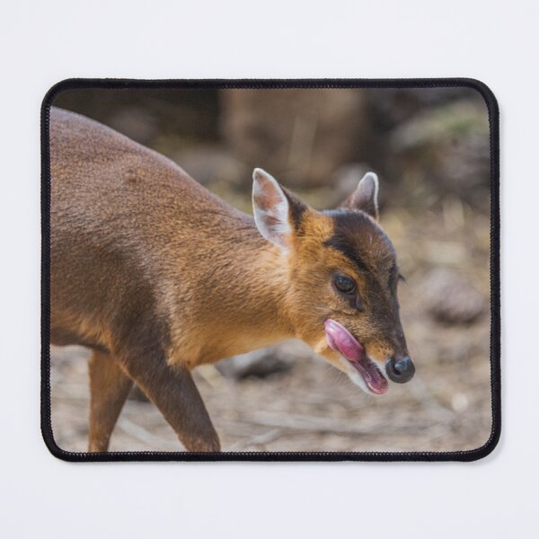 Item preview, Mammal designed and sold by XaviFotografia.