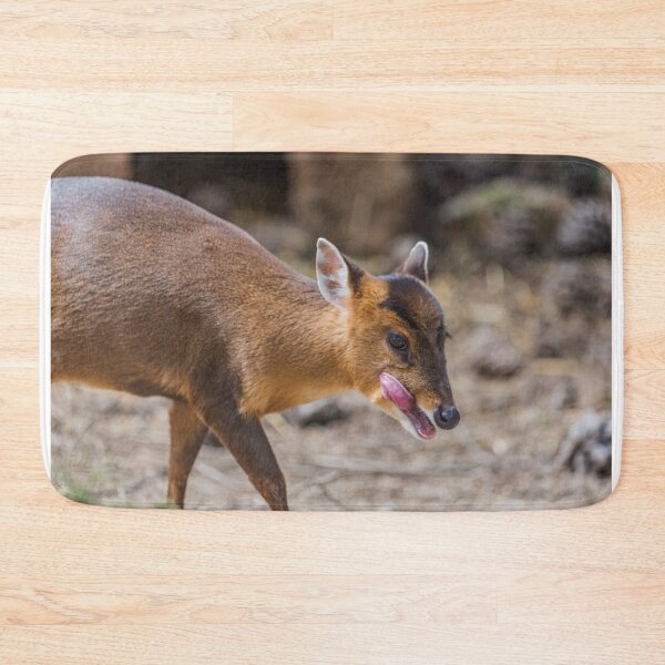 Item preview, Mammal designed and sold by XaviFotografia.