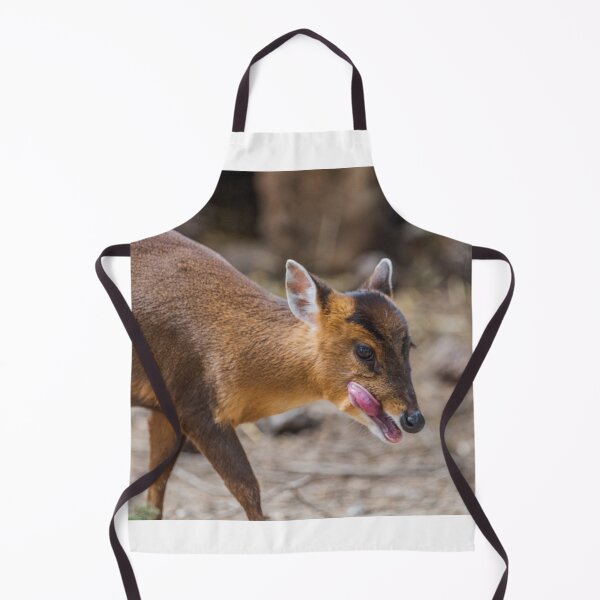 Item preview, Mammal designed and sold by XaviFotografia.