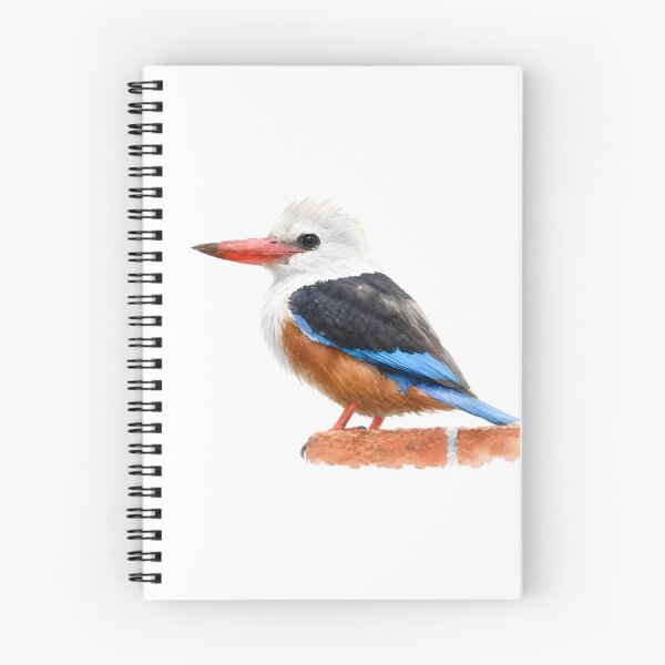 Item preview, Grey-headed Kingfisher (Halcyon leucocephala) designed and sold by HOMETOWN86.
