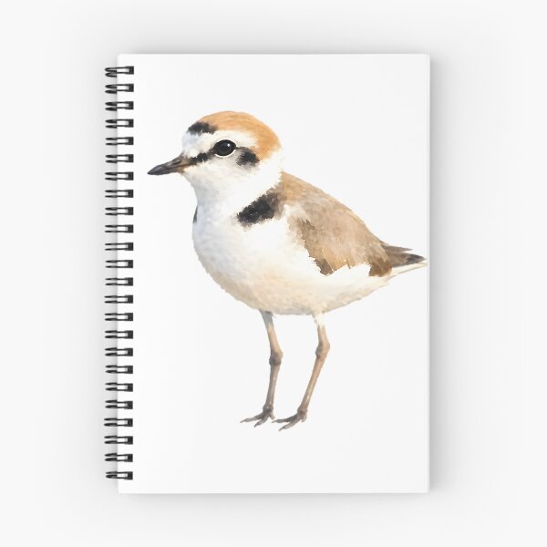 Item preview, Kentish Plover (Anarhynchus alexandrinus) designed and sold by HOMETOWN86.
