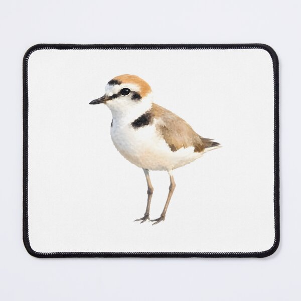 Item preview, Kentish Plover (Anarhynchus alexandrinus) designed and sold by HOMETOWN86.