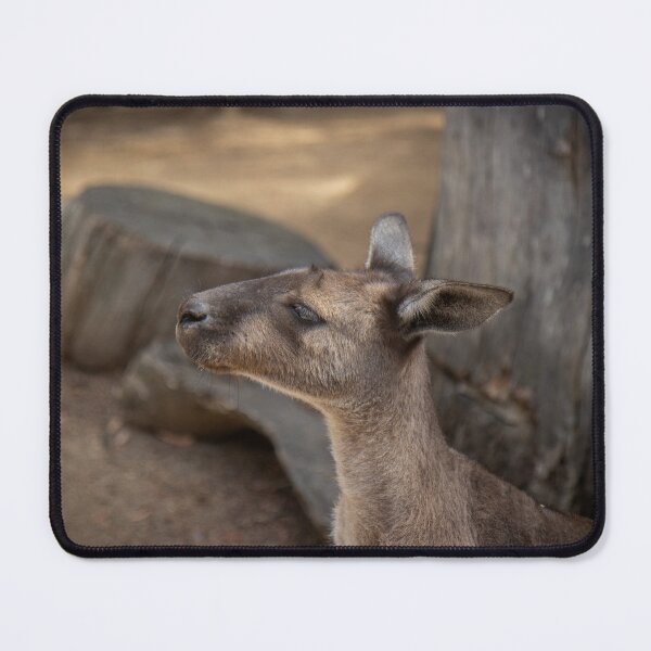 Item preview, Chilling Roo designed and sold by Stephen Jolly Photos.