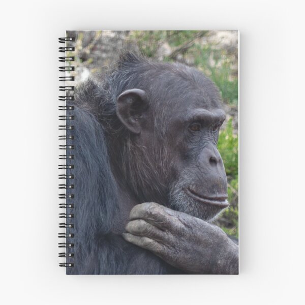 Item preview, Contemplative  designed and sold by Stephen Jolly Photos.
