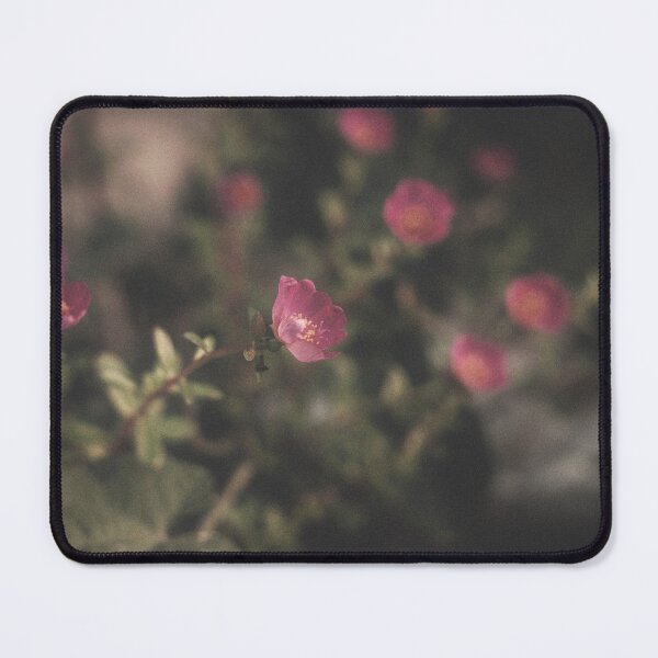Item preview, The Forgotten Garden Vintage Film designed and sold by Tuhin S Polley.