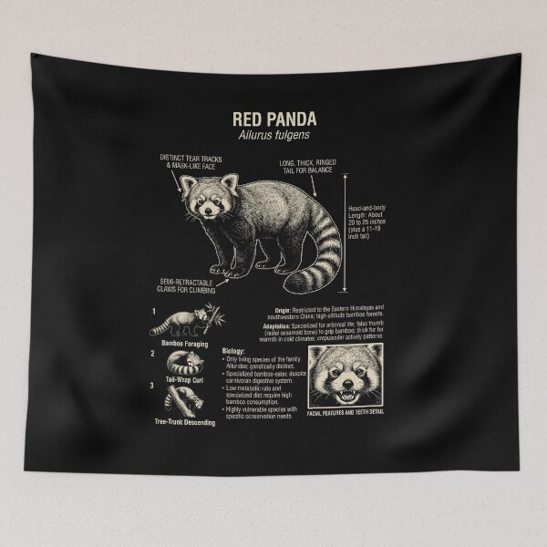 Item preview, Red Panda Scientific Anatomy Biology Animal Lover designed and sold by Kimberley King Art  King Art.