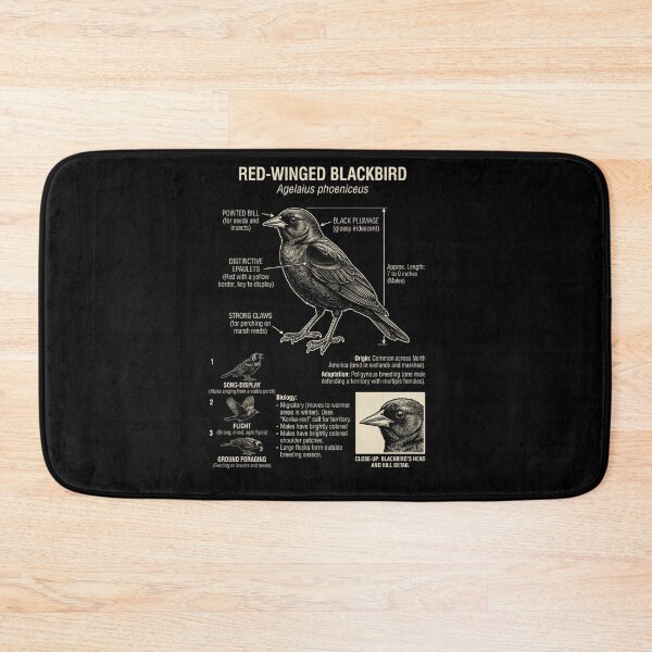 Item preview, Red winged Blackbird Scientific Anatomy Ornithology Animal Lover designed and sold by Kimberley King Art  King Art.