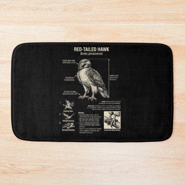 Item preview, Red tailed Hawk Scientific Anatomy Ornithology Animal Lover designed and sold by Kimberley King Art  King Art.