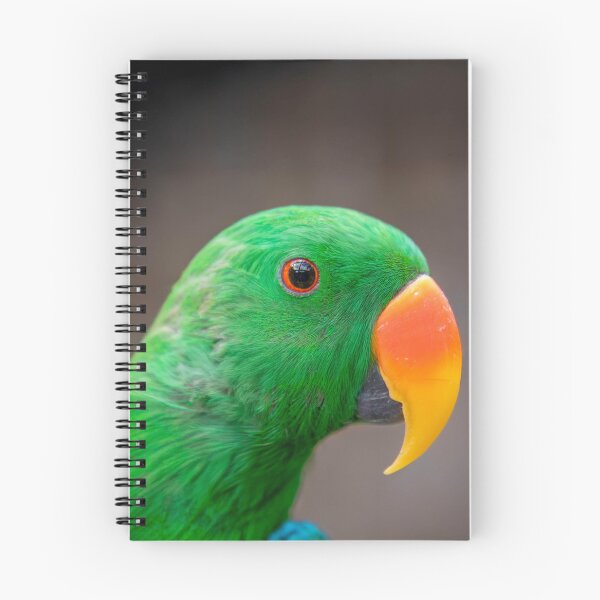 Item preview, Green Parrot designed and sold by Stephen Jolly Photos.