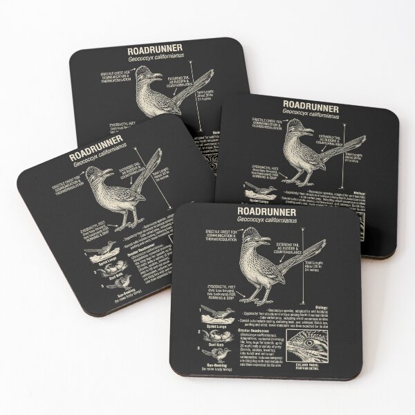 Item preview, Roadrunner Scientific Anatomy Ornithology Animal Lover designed and sold by Kimberley King Art  King Art.