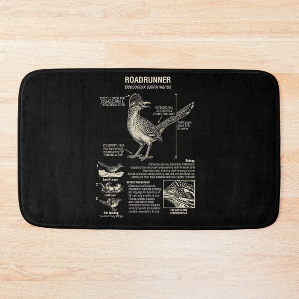 Item preview, Roadrunner Scientific Anatomy Ornithology Animal Lover designed and sold by Kimberley King Art  King Art.