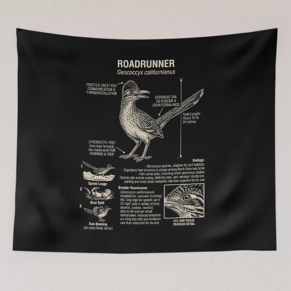 Item preview, Roadrunner Scientific Anatomy Ornithology Animal Lover designed and sold by Kimberley King Art  King Art.