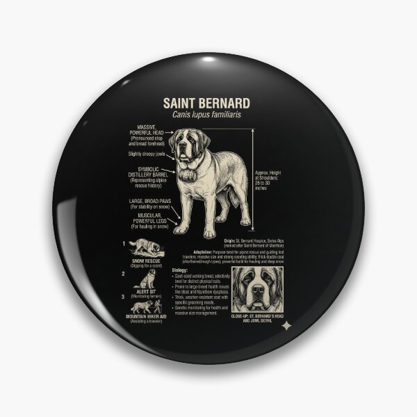 Item preview, Saint Bernard Scientific Anatomy Biology Dog Lover designed and sold by Kimberley King Art  King Art.