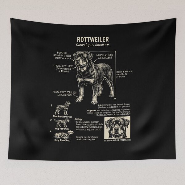 Item preview, Rottweiler Scientific Anatomy Biology Dog Lover designed and sold by Kimberley King Art  King Art.