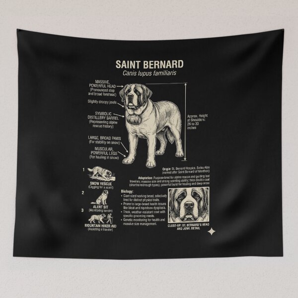 Item preview, Saint Bernard Scientific Anatomy Biology Dog Lover designed and sold by Kimberley King Art  King Art.