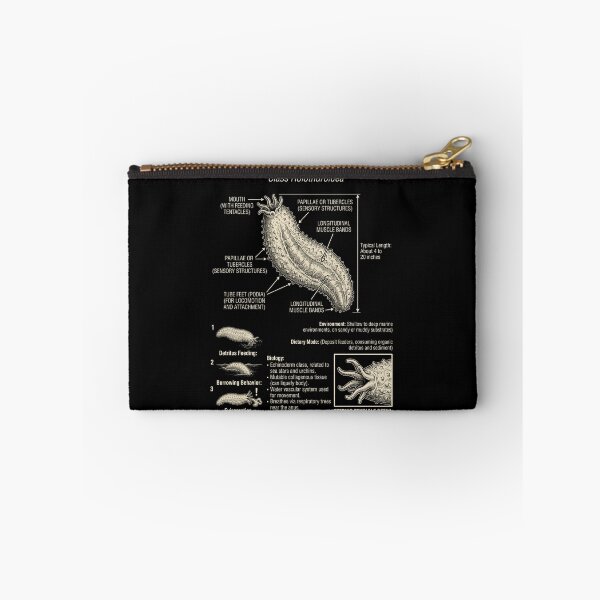 Item preview, Sea Cucumber Scientific Anatomy Biology Animal Lover designed and sold by Kimberley King Art  King Art.