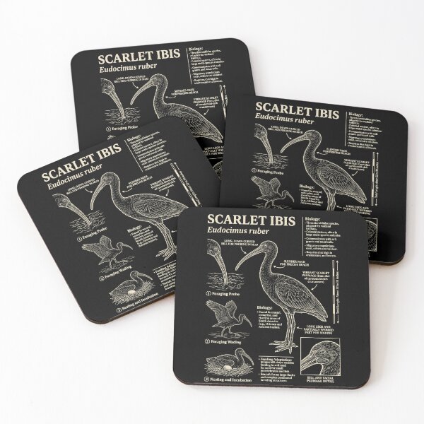 Item preview, Scarlet Ibis Scientific Anatomy Ornithology Animal Lover designed and sold by Kimberley King Art  King Art.