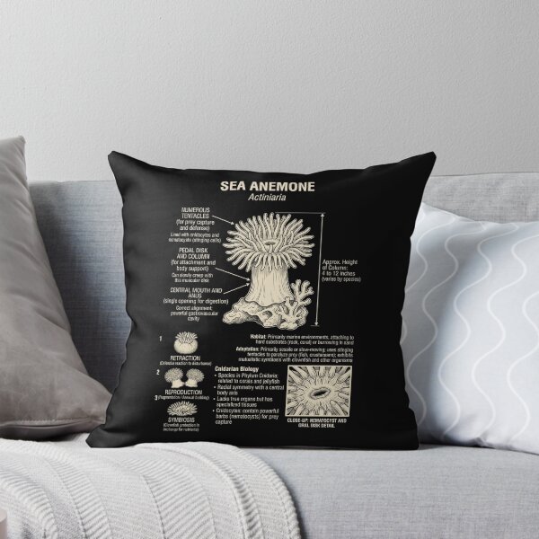 Item preview, Sea Anemone Scientific Anatomy Biology Animal Lover designed and sold by Kimberley King Art  King Art.
