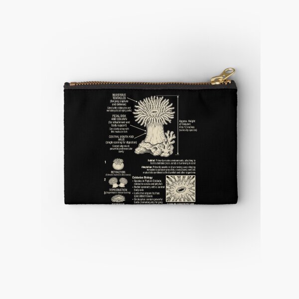 Item preview, Sea Anemone Scientific Anatomy Biology Animal Lover designed and sold by Kimberley King Art  King Art.