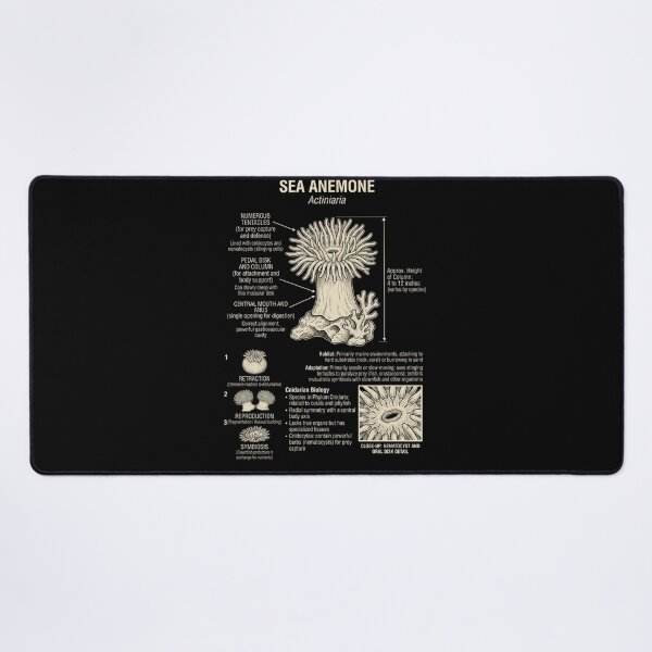 Item preview, Sea Anemone Scientific Anatomy Biology Animal Lover designed and sold by Kimberley King Art  King Art.