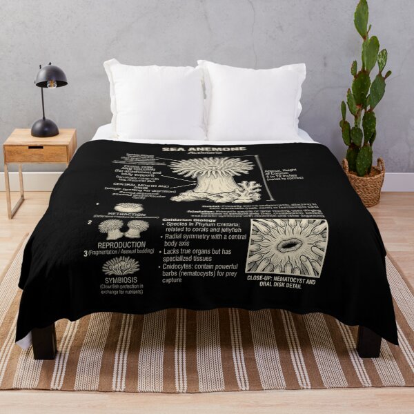 Item preview, Sea Anemone Scientific Anatomy Biology Animal Lover designed and sold by Kimberley King Art King Art.